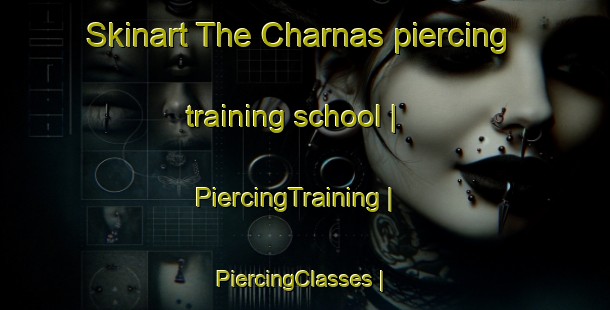 Skinart The Charnas piercing training school | PiercingTraining | PiercingClasses | SkinartTraining-France